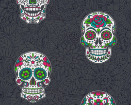 AS Creation Boys and Girls 6 behang Skulls 35817-3