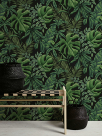 Behang  jungle tropical  37033-1