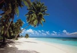 8-240 Komar Fotobehang Maledives tropische eiland groen blauw behang