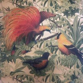 Junge behang paradijs vogels sierdieren vintage
