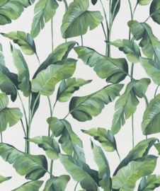 Tropische bladeren vlies behang Botanical Palmbladeren 219350