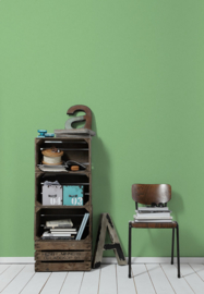 Groen effe uni behang 3460-18