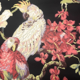 Eijffinger Papegaai Vogels Vliesbehang | 0,68 m x 8,60 m – Exotisch Tropisch Motief