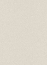 BEIGE GLITTER BEHANG ERISMANN 6314-02