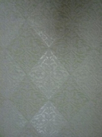 retro groen  behang vinyl glitter xxxx2