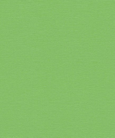 Rasch Hotspot behang groen 804362