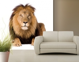 Mantiburi leeuw Fotobehang Lion King 133