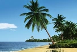 8-074 Komar Fotobehang African Beach tropische eiland groen behang