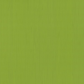 groen behang  xxxt4