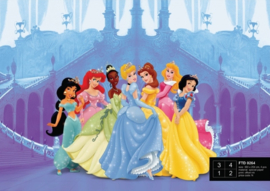 AG Design Fotobehang Disney Princess In The Castle FTD0264