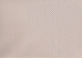 Behang. SD102022 Natural Faux-Noordwand
