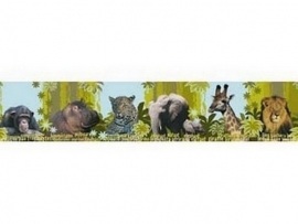 dieren print rand 1