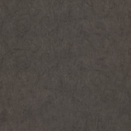 Dutch First Class Chroma behang 12-Truffle