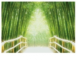 Mantiburi bamboe Fotobehang Bamboo Walk 9