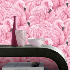 flamingo behang vogel dieren  xxx1