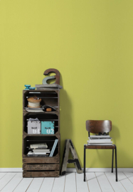 Groen effe uni behang 95959-5