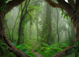 Livingwalls Fotobehang natuur Designwalls  DD118632