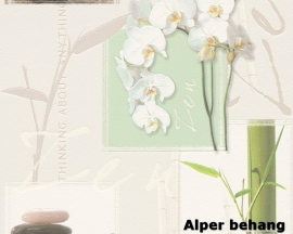 8771-16 Decora natur 5 behang bloemen wit