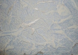 blauw zilver Lambrisering behang vlies 09