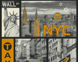 AS Creation Boys and Girls 6 behang New York 30045-1