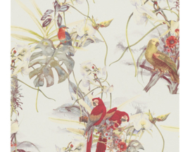 Tropische behang papegaaien dieren jungle 38725-1