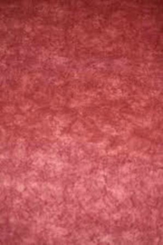 rood vinyl behang assorti noordwand 58152594