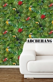 behang tropical jungle papegaai vogel behang 102555