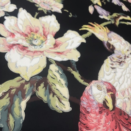 Eijffinger Papegaai Vogels Vliesbehang | 0,68 m x 8,60 m – Exotisch Tropisch Motief