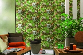 planten natuur Behang tropical  924513