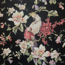 Eijffinger Papegaai Vogels Vliesbehang | 0,68 m x 8,60 m – Exotisch Tropisch Motief