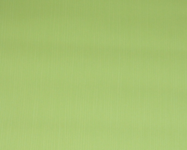 Groen vlies  behang opruiming xxxx63