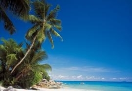 8-511 Komar Escape Fotobehang National Geographic tropische eiland blauw behang