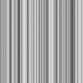 zwart grijs streepjes behang 5656