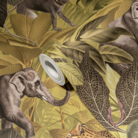 Exotische Dieren, Tropische Sferen Jungle behang 38724-2