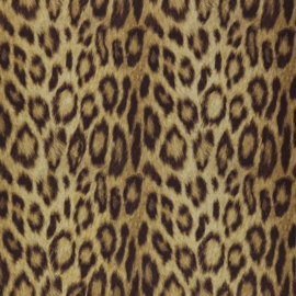 Dutch First Class Jungle Club behang panter luipaard