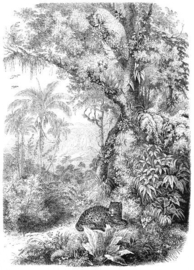 Esta Home Paradise PhotowallXL Leopard in Jungle 158945
