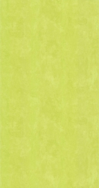 Noordwand Les Aventures 51137004 unie lime groen behang