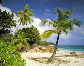 8-885 Komar Fotobehang Praslin tropisch eiland groene palmbomen behang