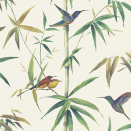 Behang met bamboe en kolibri's  G56412 Global Fusion