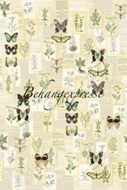 Behangexpresse COLORchoc Wallprint Botanical INK 6076