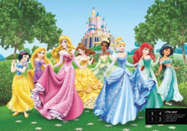 AG Design Fotobehang Disney Princesses FTD2207