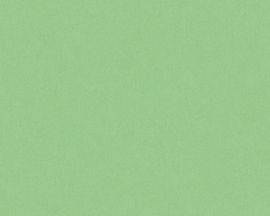Groen effe uni behang 34601-8