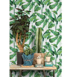 Tropische bladeren vlies behang Botanical Palmbladeren 219350