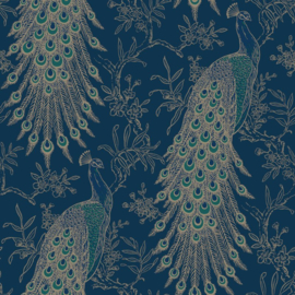 pauw behang tropical vogel  405804