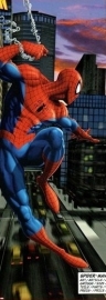 Spiderman NYC 1-437 fotobehang