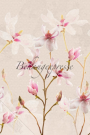 Behangexpresse COLORchoc Wallprint Magnolia INK 6065