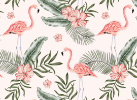 Fotobehang natuur tropical flamingo  DD118580
