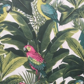 papegaai behang natuur tropical bomen planten bos groen vogel dieren xx6