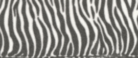 zebraprint behangrand zwart wit xxl