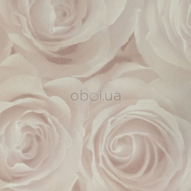 romantische rozen behang zalm 3D effect